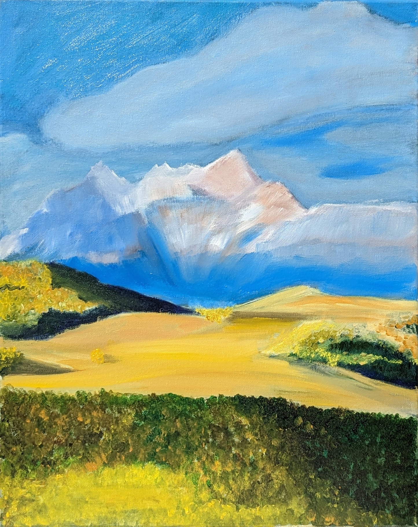 Fields of Joy